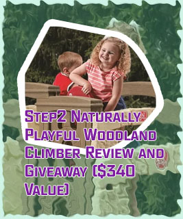 Naturally playful woodland climber step 2