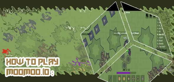 Play moomoo io